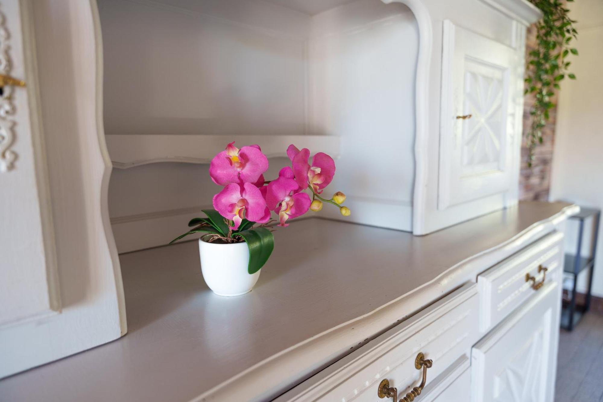 Gite Du Manoir Saint-Germain-des-Champs 외부 사진